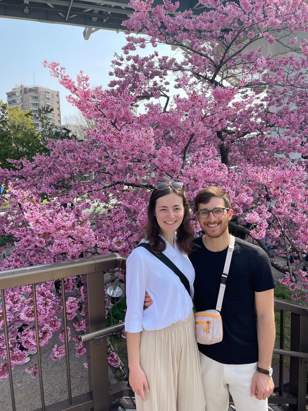 Chasing cherry blossoms around Tokyo.